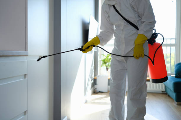 Best Crawl Space Mold Remediation in New Union, TN